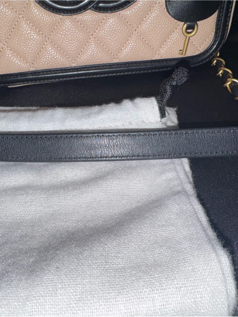 CHANEL Medium Quilted Vanity Crossbody Bag with Gold Hardware - Picture 3 of 11